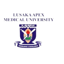 Screenshot_2025-05-22_at_11.15.18_AM-removebg-preview