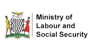 Screenshot_2025-05-22_at_11.15.27_AM-removebg-preview